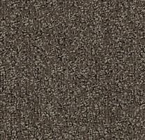 Грязезащитные покрытия Forbo Coral Classic 4764 Taupe фото 1 | FLOORDEALER